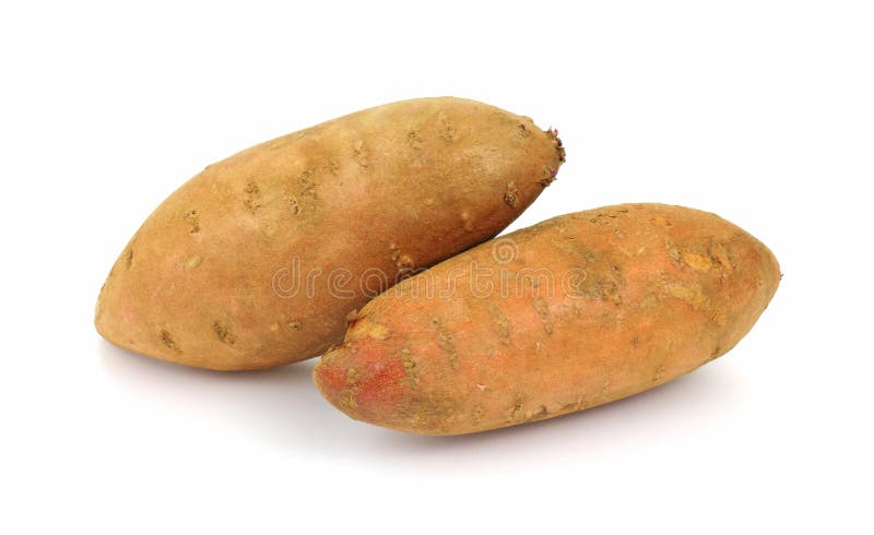 Pair of Sweet Potatoes stock photo. Image of fleshy, white - 16030338