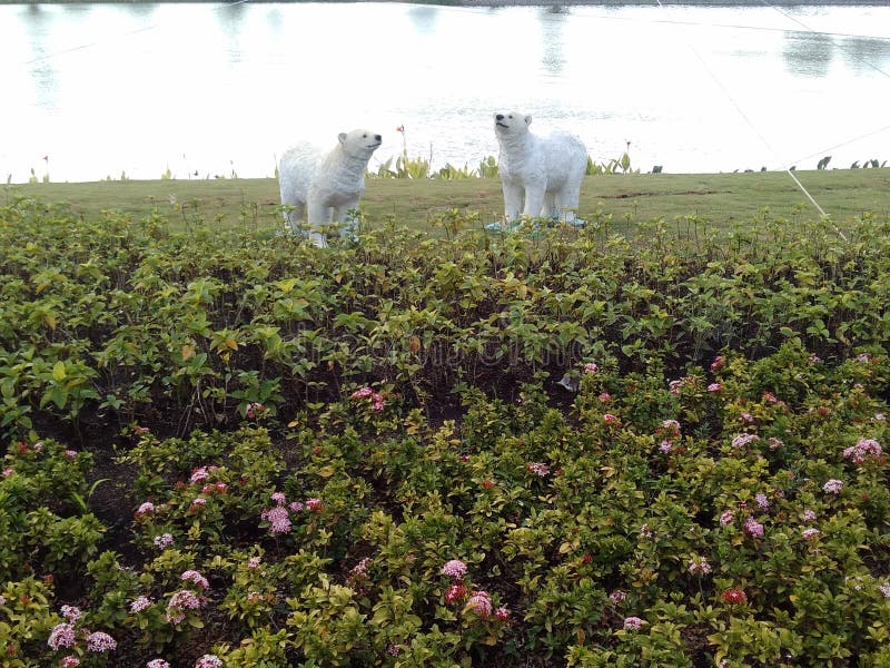 A Pair of White Bear Statues Stock Image Image of produce, farm 263153703