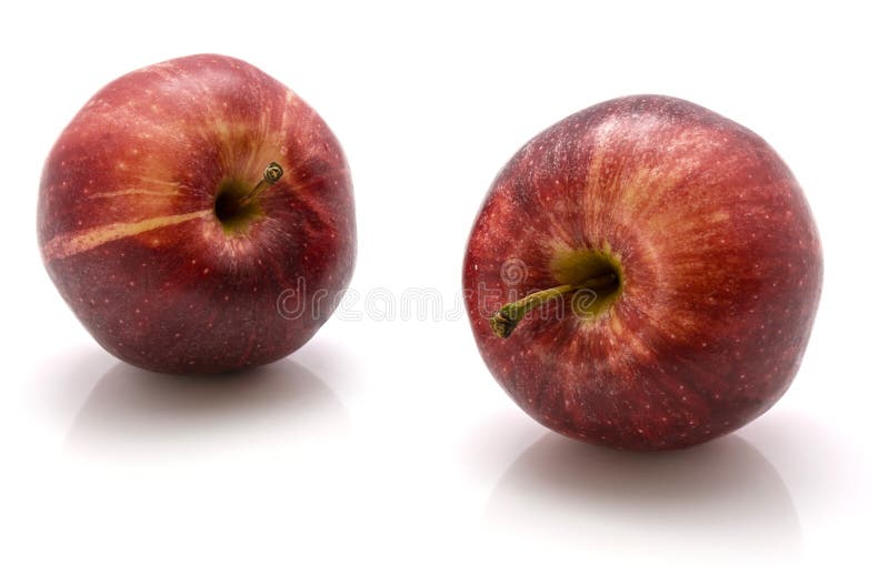 Whole Gala Melon stock image. Image of healthy, melons 26162509