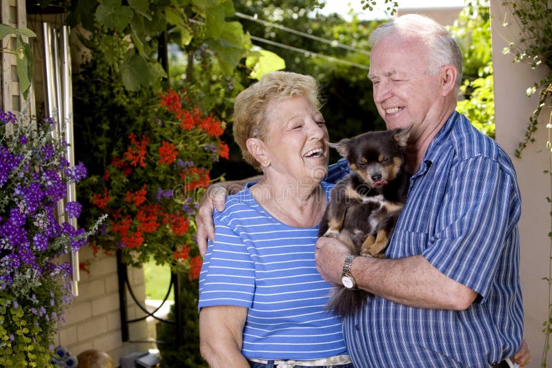 Avós imagem de stock