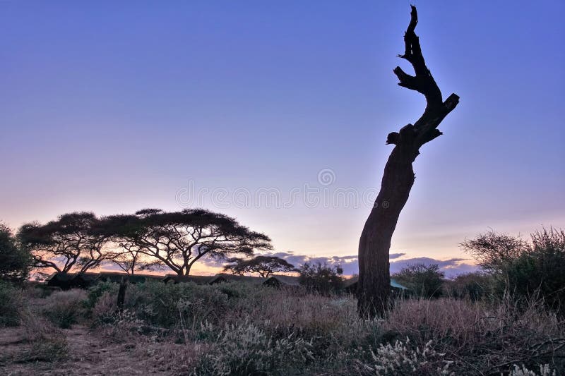 Lendário Rn7 Significa Rota Nacional Que Atravessa Savana Selvagem Vermelha  Africana Com Pequenas árvores E Arbustos Nos Lados Imagem de Stock - Imagem  de paisagem, destino: 174232899