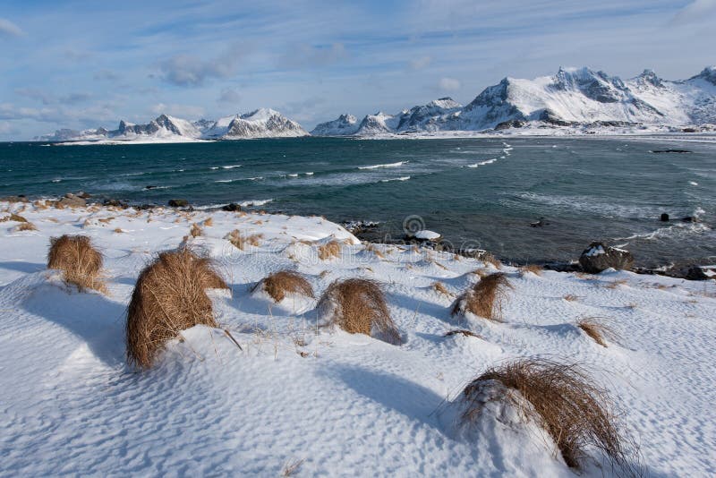 Paisagem bonita da praia coberta de neve no inverno, Ilhas Lofoten, Noruega imagens de stock Paisagem bonita da praia coberta de neve no inverno, Ilhas Lofoten, Noruega imagens de stock