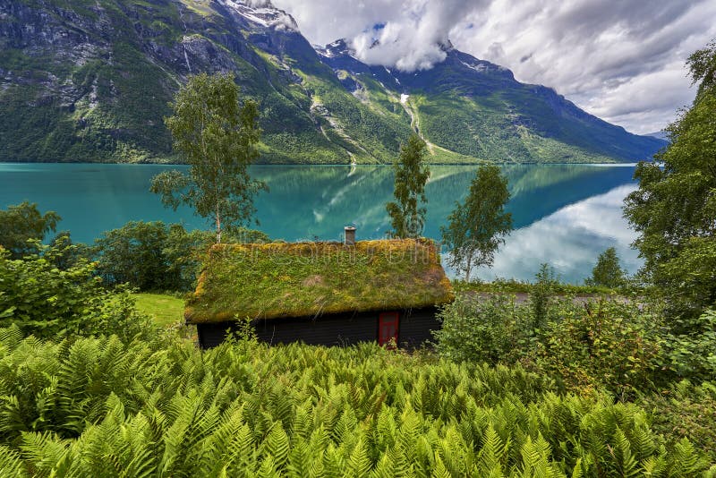 Escandinávia – Natureza Terra – Educação Ambiental e Ecoturismo
