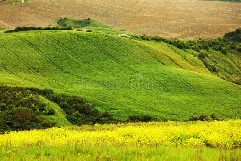 Paisagem bonita do verão em Toscânia fotografia de stock royalty free Paisagem bonita do verão em Toscânia fotografia de stock royalty free