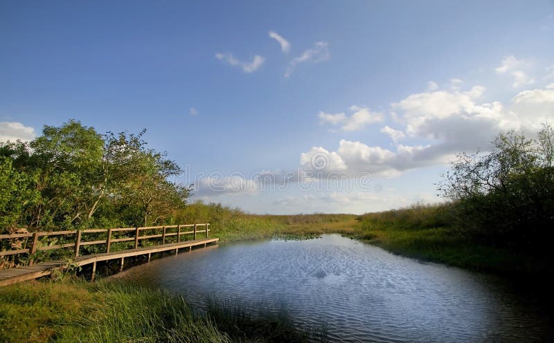 Paisagem bonita dos marismas fotos de stock Paisagem bonita dos marismas fotos de stock