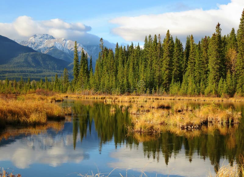 Paisagem Canadense Bonita, Alberta, Canadá Imagem de Stock Imagem de