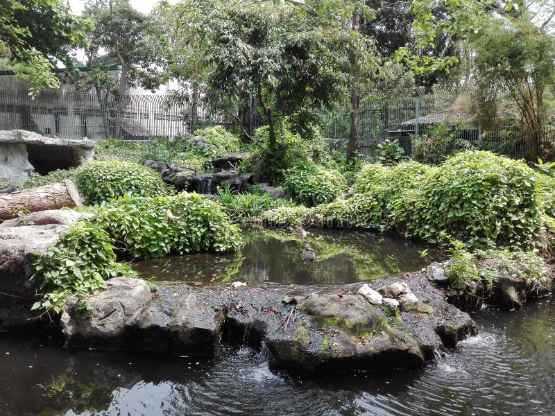 Paisagem da cachoeira artificial fotografia de stock