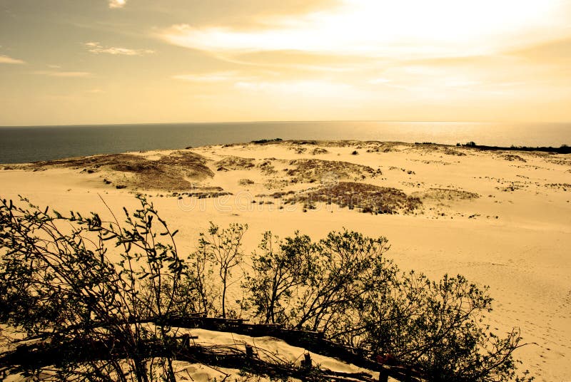 Paisagem da duna imagens de stock royalty free Paisagem da duna imagens de stock royalty free