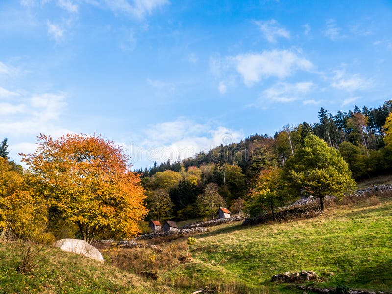 Paisagem da Floresta Negra com vertentes em um montanhês no outono fotografia de stock Paisagem da Floresta Negra com vertentes em um montanhês no outono fotografia de stock