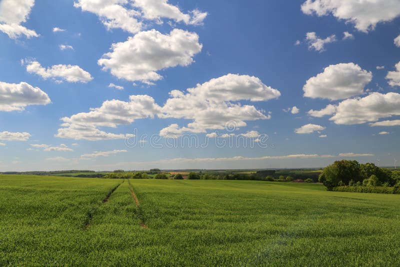 Paisagem da mola com campos verdes do trigo de inverno foto de stock Paisagem da mola com campos verdes do trigo de inverno foto de stock