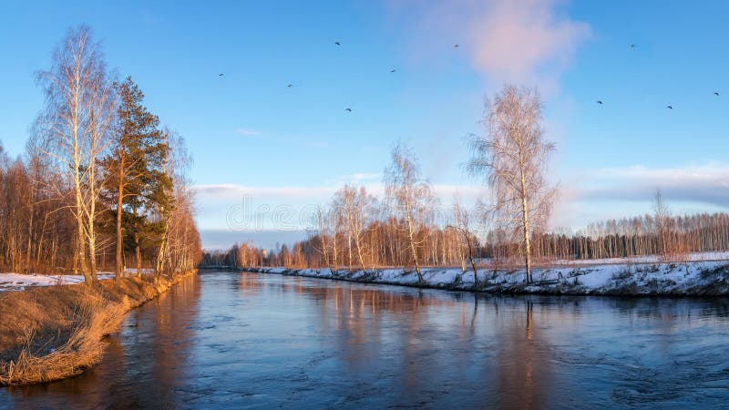 Paisagem da mola no rio no por do sol e em um rebanho dos pássaros, Rússia, Ural foto de stock Paisagem da mola no rio no por do sol e em um rebanho dos pássaros, Rússia, Ural foto de stock