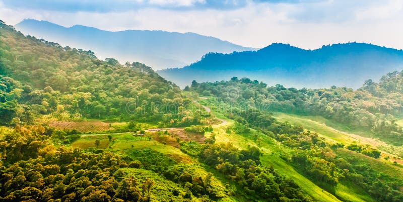 Paisagem da montanha com estrada e plantação, Chiang Rai, Thail fotos de stock Paisagem da montanha com estrada e plantação, Chiang Rai, Thail fotos de stock