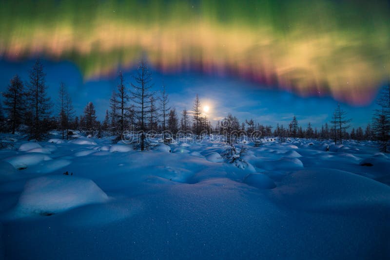 Winter landscape with forest, moon, trees, snow and aurora borealis over the taiga. Winter landscape with forest, moon, trees, snow and aurora borealis over the taiga.