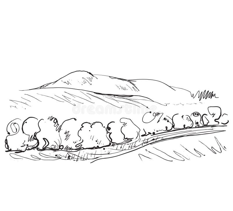 Paisagem das garatujas com campos e árvores ilustração do vetor Paisagem das garatujas com campos e árvores ilustração do vetor