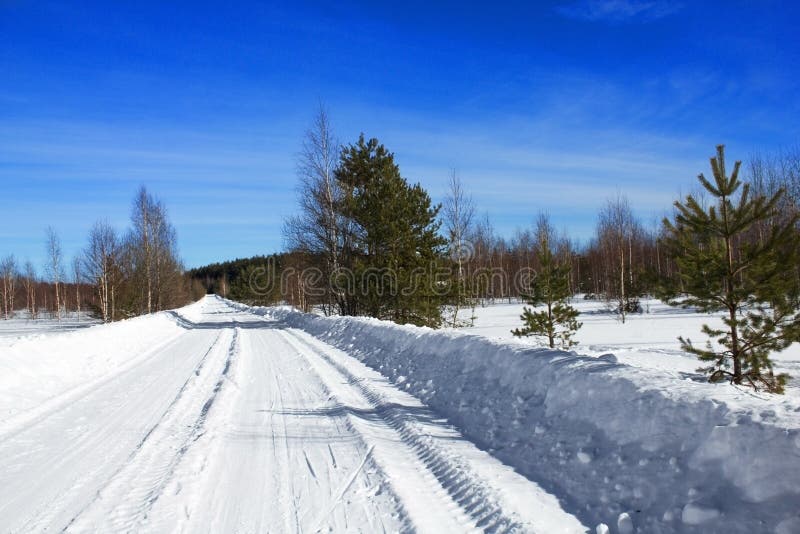 Paisagem de inverno Vista de árvores cobertas de neve, deriva de neve e estrada no campo no inverno em um dia ensolarado Russo