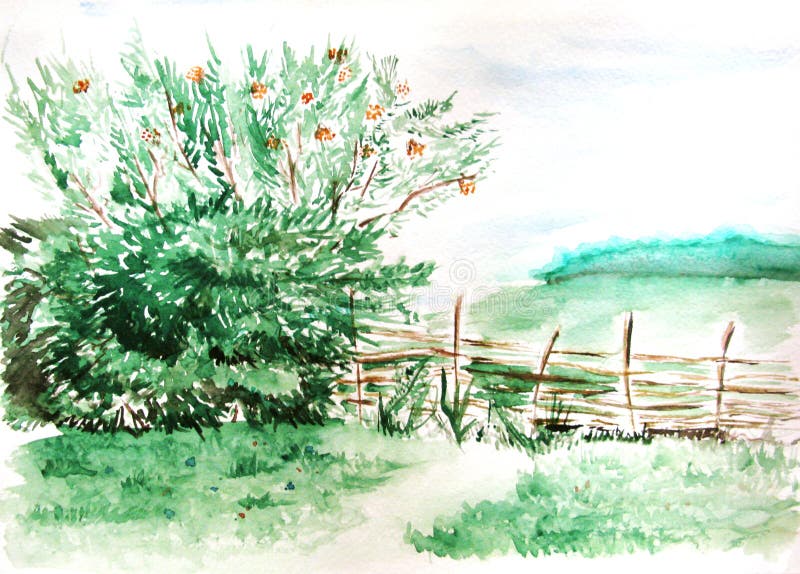 Paisagem de madeira da natureza da floresta do campo do campo da aquarela ilustração royalty free Paisagem de madeira da natureza da floresta do campo do campo da aquarela ilustração royalty free