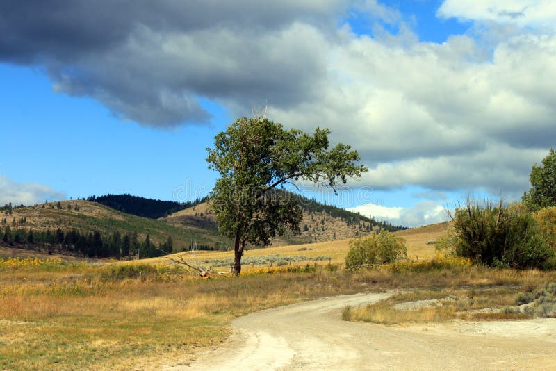 Paisagem de Montana fotos de stock Paisagem de Montana fotos de stock