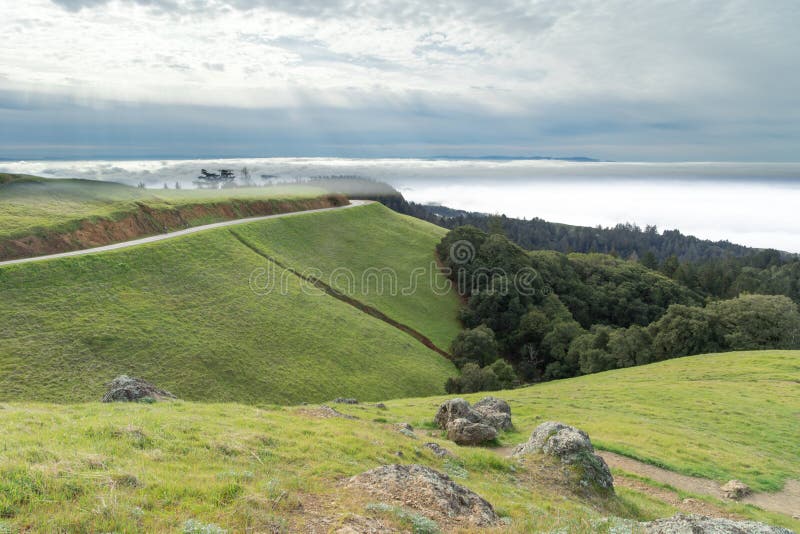 Paisagem de Tamalpais da montagem no inverno fotos de stock royalty free Paisagem de Tamalpais da montagem no inverno fotos de stock royalty free