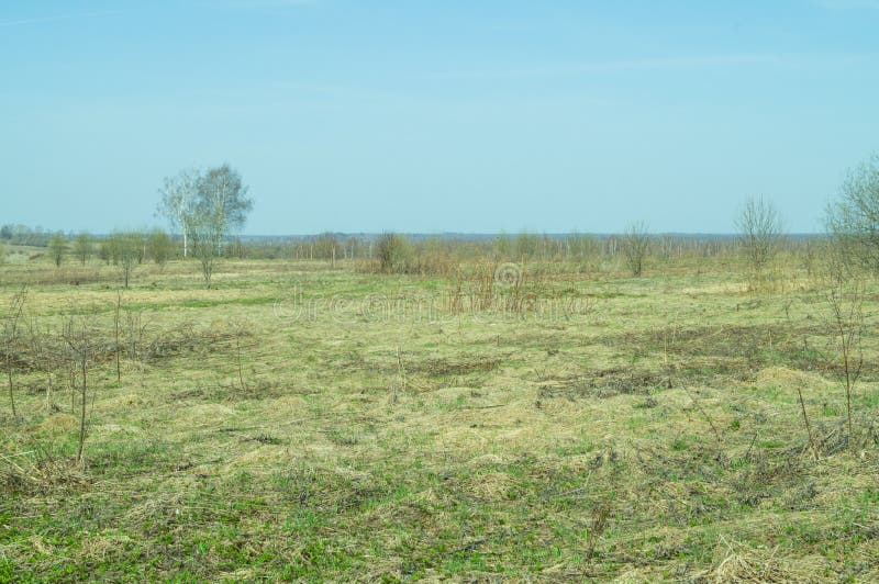 Paisagem Do Campo Com Grama Seca Foto De Stock Imagem De Paisagem Campo 92346930