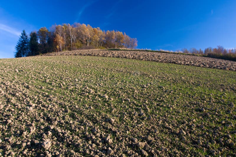 Paisagem do campo do outono imagens de stock royalty free Paisagem do campo do outono imagens de stock royalty free
