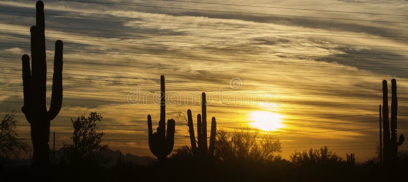 Paisagem do deserto do Arizona, área de Phoenix, Scottsdale