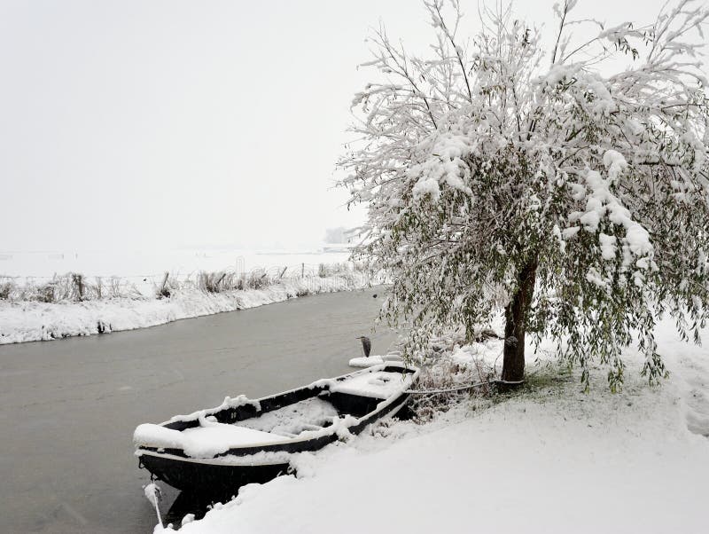 Paisagem de inverno imagem de stock royalty free