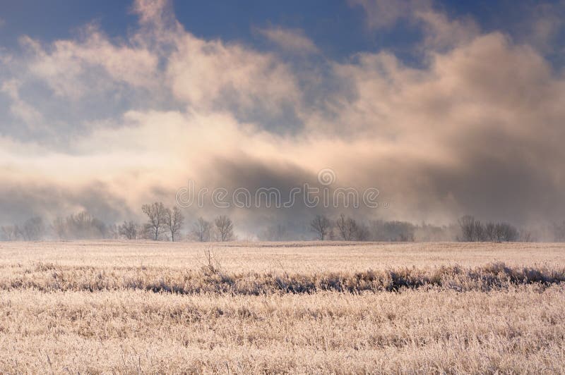Paisagem do inverno com névoa pesada espetacular acima das árvores desencapadas atrás do campo coberto com a grama congelada sob imagem de stock Paisagem do inverno com névoa pesada espetacular acima das árvores desencapadas atrás do campo coberto com a grama congelada sob imagem de stock