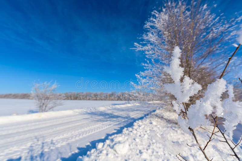Paisagem do inverno estrada nevado branca, céu azul, árvores cobertas com a geada foto de stock royalty free Paisagem do inverno estrada nevado branca, céu azul, árvores cobertas com a geada foto de stock royalty free