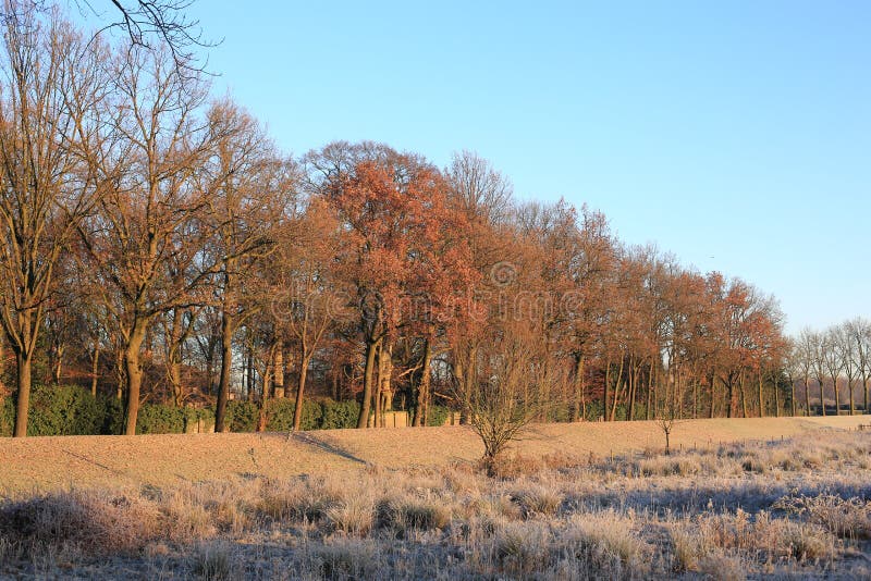 Paisagem do inverno na província Limburgo, os Países Baixos imagens de stock Paisagem do inverno na província Limburgo, os Países Baixos imagens de stock
