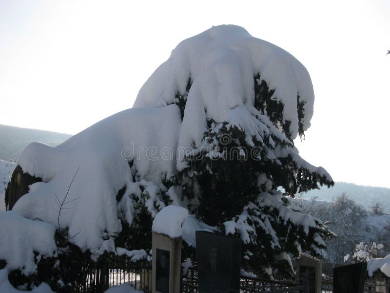 Paisagem do inverno nos subúrbios de Sheki fotografia de stock royalty free Paisagem do inverno nos subúrbios de Sheki fotografia de stock royalty free