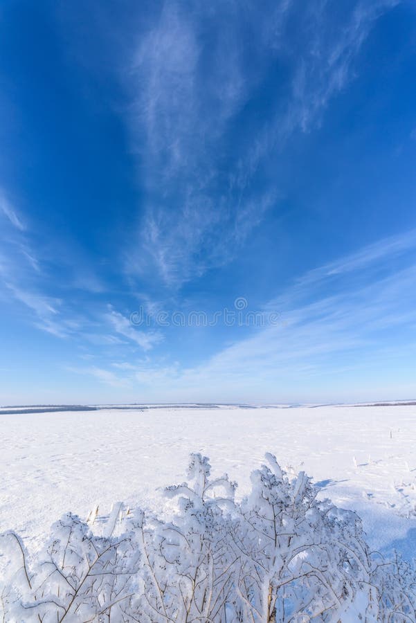 Paisagem do inverno o campo de neve branco, céu azul, as portas é coberto com a geada foto de stock Paisagem do inverno o campo de neve branco, céu azul, as portas é coberto com a geada foto de stock