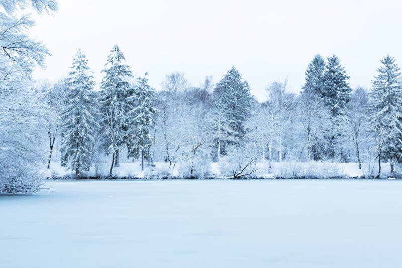 Paisagem do lago de inverno no parque de Munique, pelo rio Isar Árvores de neve, água congelada foto de stock Paisagem do lago de inverno no parque de Munique, pelo rio Isar Árvores de neve, água congelada foto de stock