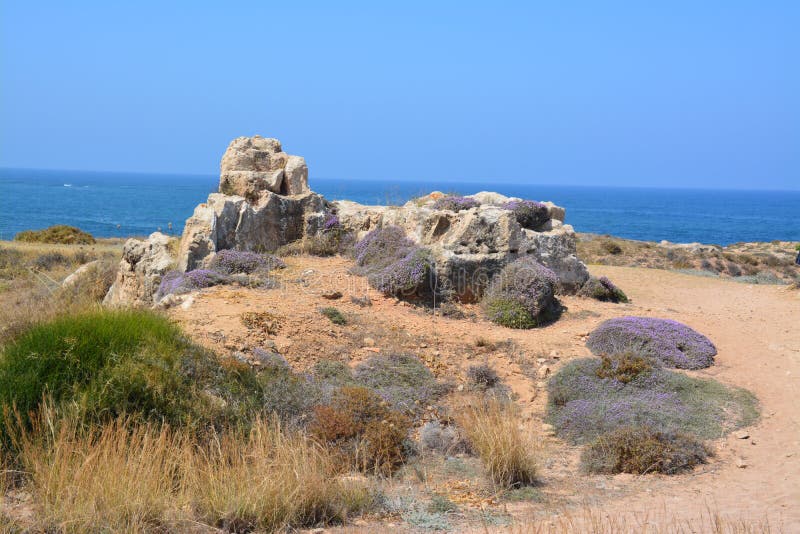 Paisagem Do Mar-lado De Chipre Foto de Stock - Imagem ...