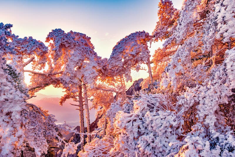 Paisagem do nascer do sol do inverno no parque nacional de Huangshan imagem de stock royalty free Paisagem do nascer do sol do inverno no parque nacional de Huangshan imagem de stock royalty free