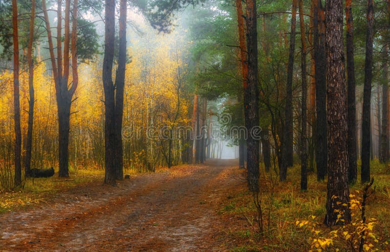 Paisagem Do Outono Um Bom Dia Para Uma Caminhada Agradável Foto de Stock -  Imagem de exterior, fundo: 167671506