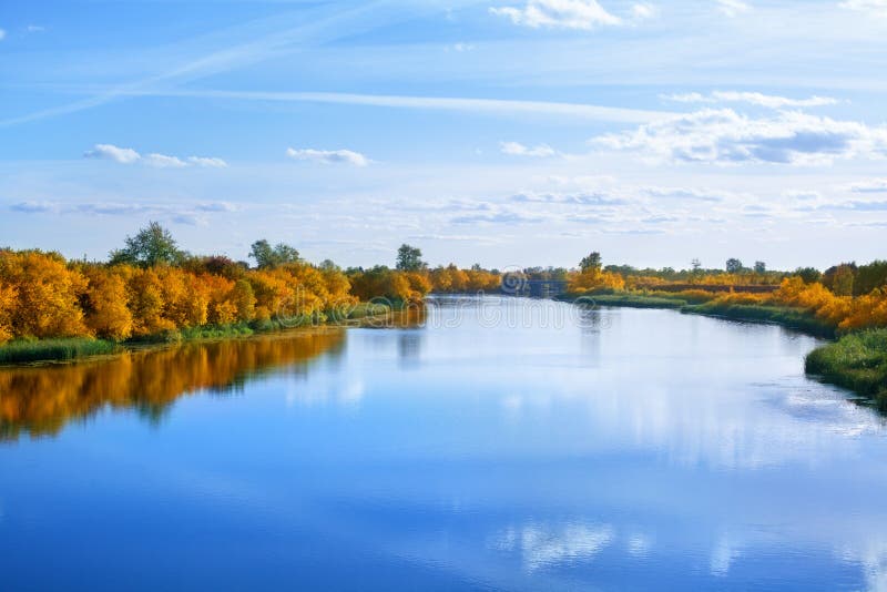 Paisagem do outono, árvores amarelas das folhas no banco de rio no céu azul e fundo branco das nuvens no dia ensolarado, reflexão fotos de stock Paisagem do outono, árvores amarelas das folhas no banco de rio no céu azul e fundo branco das nuvens no dia ensolarado, reflexão fotos de stock