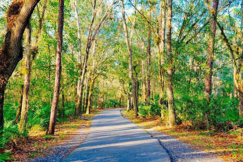 A paisagem do rio hillsborough e do parque de alface em tampa imagens de stock