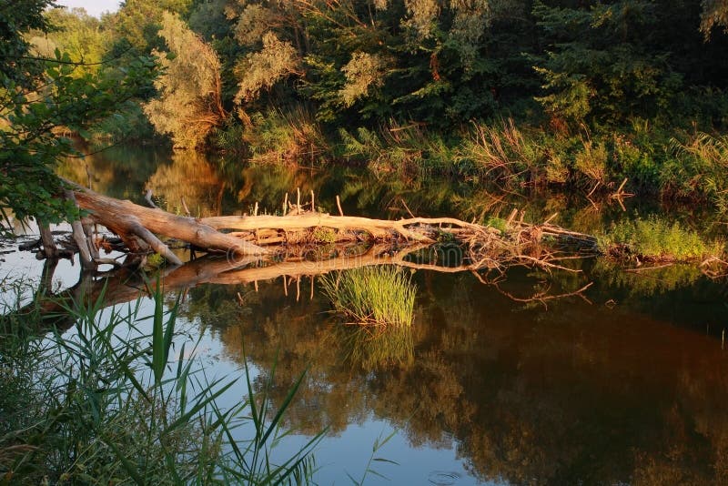 Paisagem do rio, no por do sol foto de stock royalty free