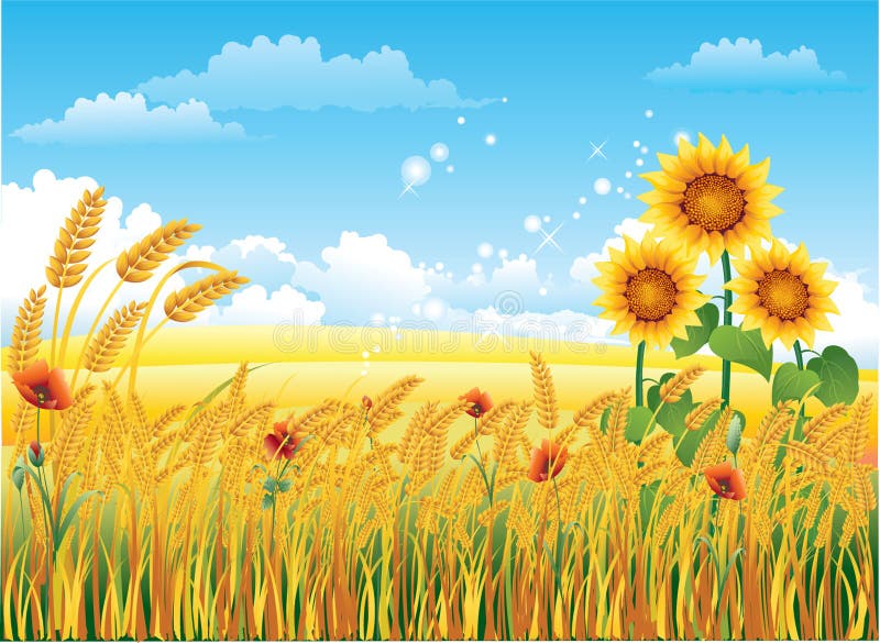 Paisagem do trigo ilustração do vetor Paisagem do trigo ilustração do vetor