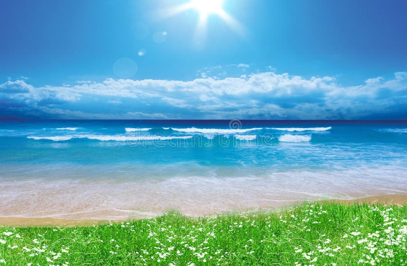 Paisagem de verão ilustração royalty free