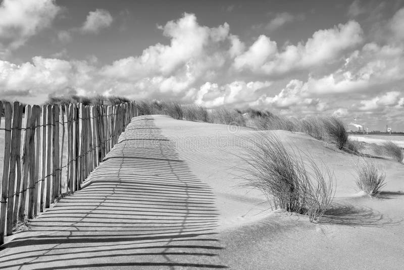 Paisagem e cerca da duna em preto e branco fotografia de stock royalty free