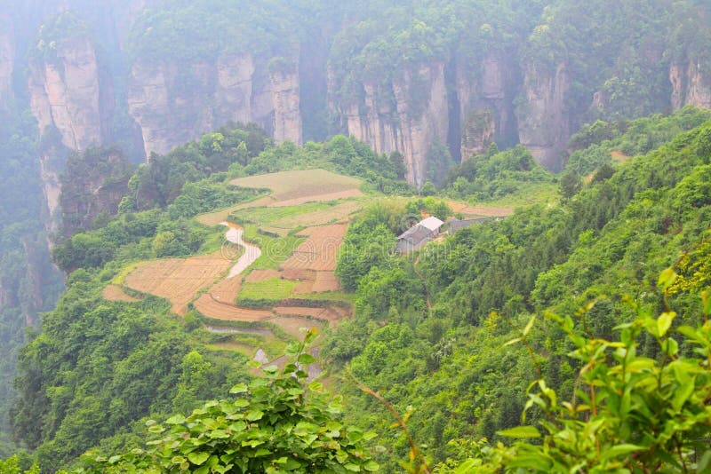 Mountain landscape in Zhangjiajie of China. Mountain landscape in Zhangjiajie of China