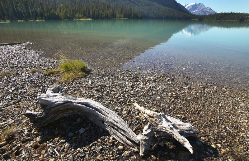 Paisagem esmeralda do lago com tronco inoperante Columbia Britânica canadá fotos de stock Paisagem esmeralda do lago com tronco inoperante Columbia Britânica canadá fotos de stock