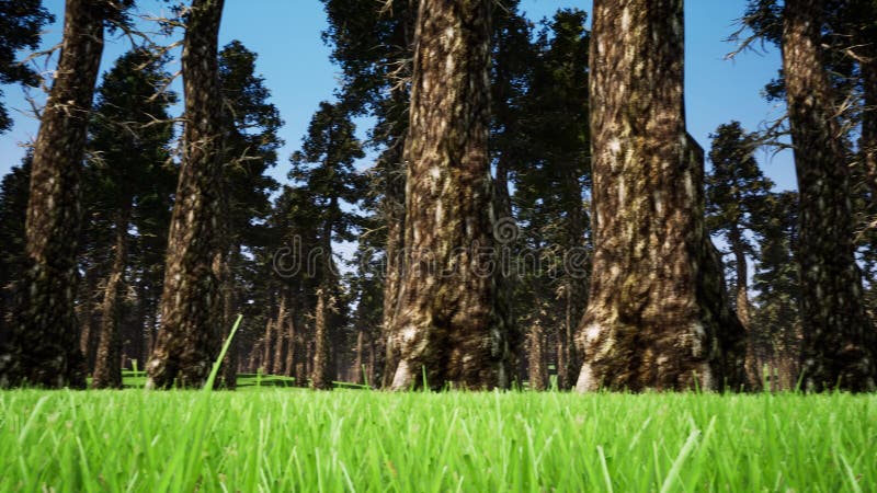 Paisagem florestal 3d imagens realistas