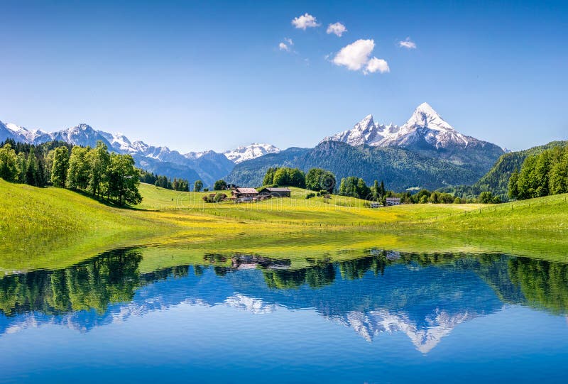 Paisagem idílico do verão com o lago claro da montanha nos cumes