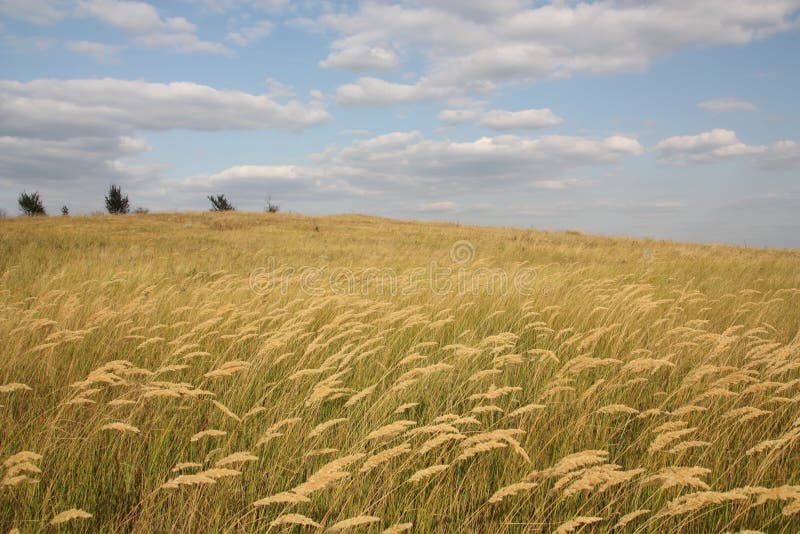 Paisagem natural fotografia de stock royalty free