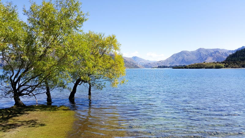Paisagem natural do lago Wanaka durante o outono em Nova Zelândia fotos de stock royalty free Paisagem natural do lago Wanaka durante o outono em Nova Zelândia fotos de stock royalty free