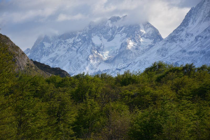 Paisagem no Patagonia o Chile fotografia de stock