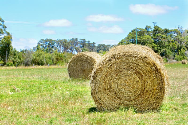 Paisagem rural australiana do campo com monte de feno imagens de stock Paisagem rural australiana do campo com monte de feno imagens de stock