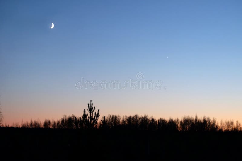 Paisagem rural com ainda as silhuetas das árvores na noite e na lua e o Vênus no céu sem nuvens claro bonito do inclinação foto de stock royalty free Paisagem rural com ainda as silhuetas das árvores na noite e na lua e o Vênus no céu sem nuvens claro bonito do inclinação foto de stock royalty free